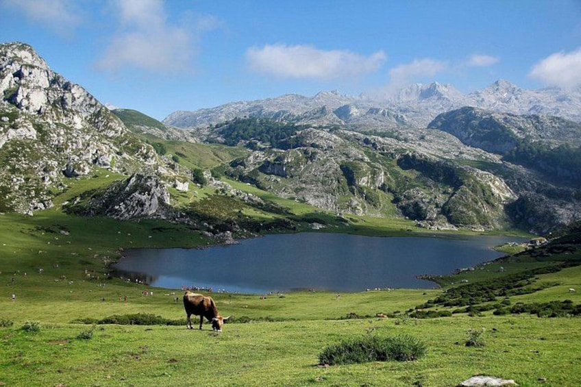 A mountainous landscape with a lake, grazing cow, and green fields. 5