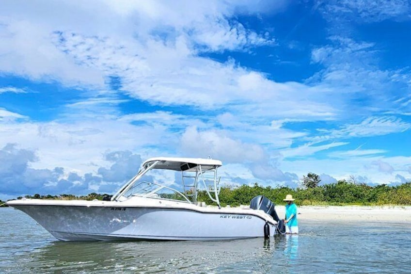 A white boat with a canopy on a calm sea, a person in a blue shirt standing at the bow, and a sandy beach with vegetation in the background. 1