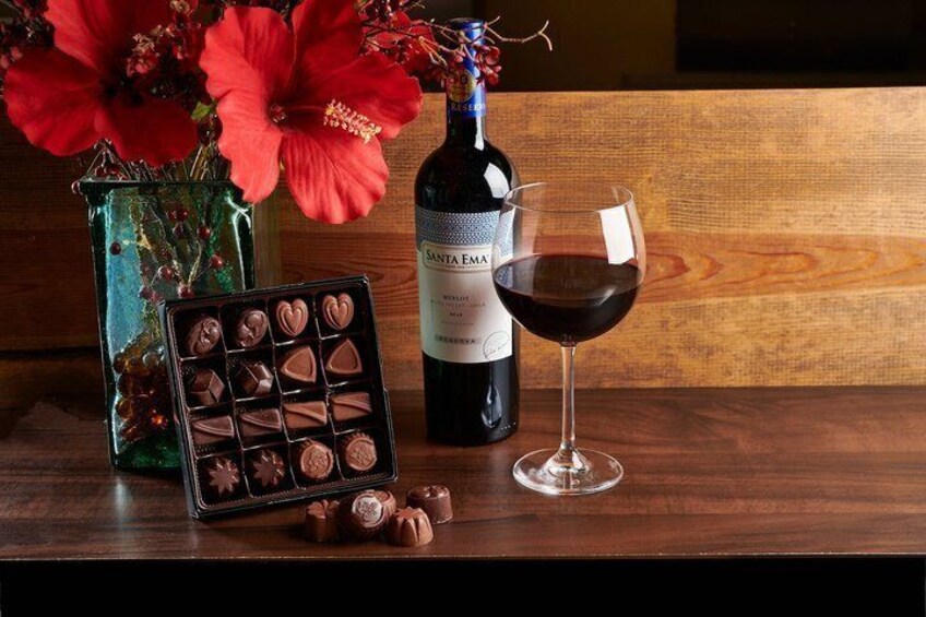 Chocolate and Wine Pairing Class at The Chocolate Therapist 1