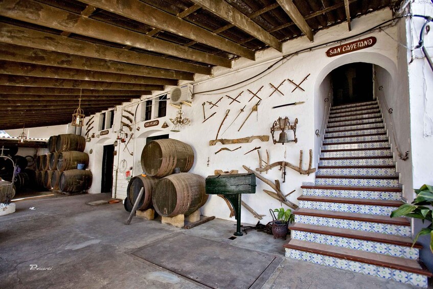 Picture 6 for Activity Sanlúcar de Barrameda: Bodegas Barón Sightseeing Tour with Tasting and Tapas 5