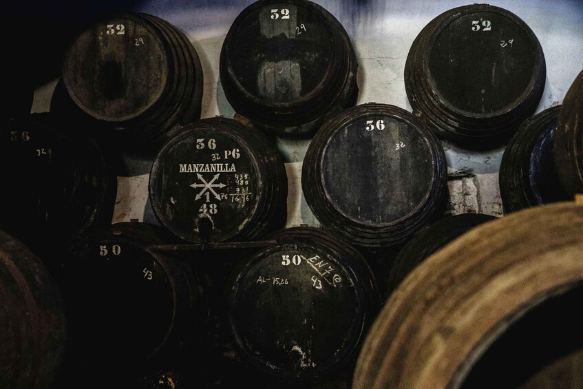 Picture 3 for Activity Sanlúcar de Barrameda: Bodegas Barón Sightseeing Tour with Tasting and Tapas 3