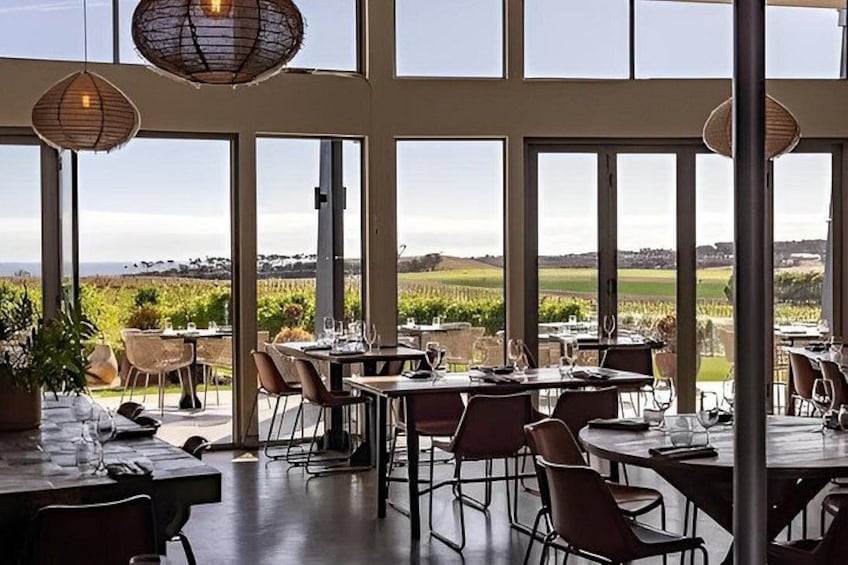 An indoor dining area with large windows overlooking a vineyard. 3