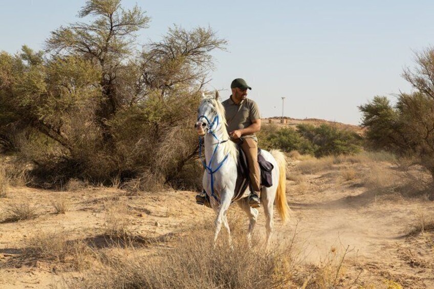 Shared Riyadh Horse Ride Adventure 2