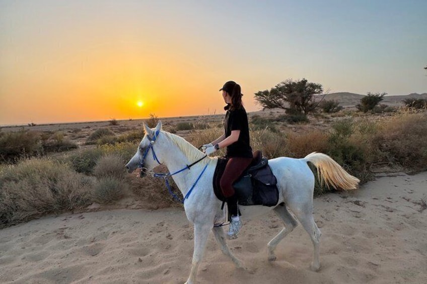 Shared Riyadh Horse Ride Adventure 5