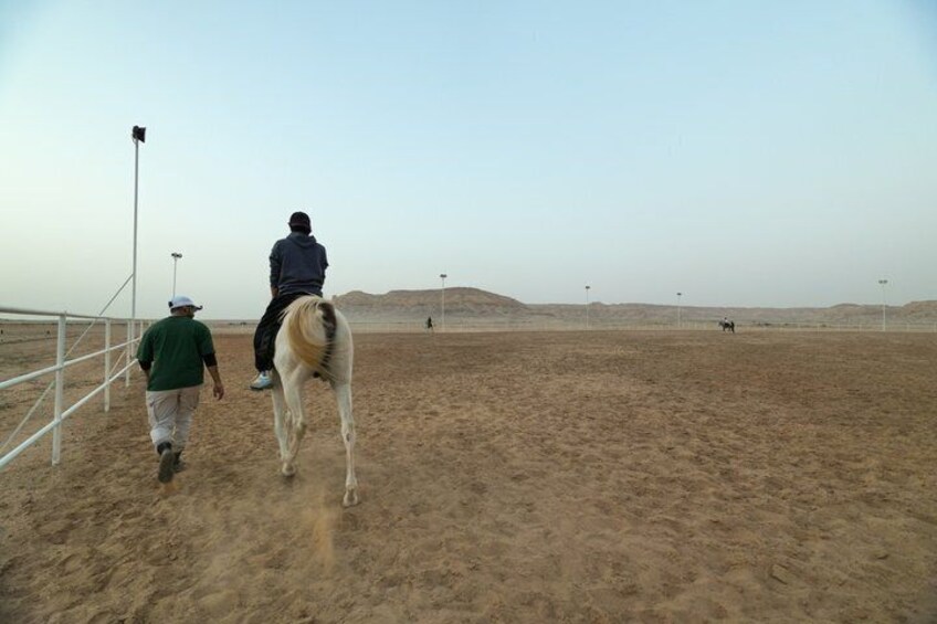 Shared Riyadh Horse Ride Adventure 3
