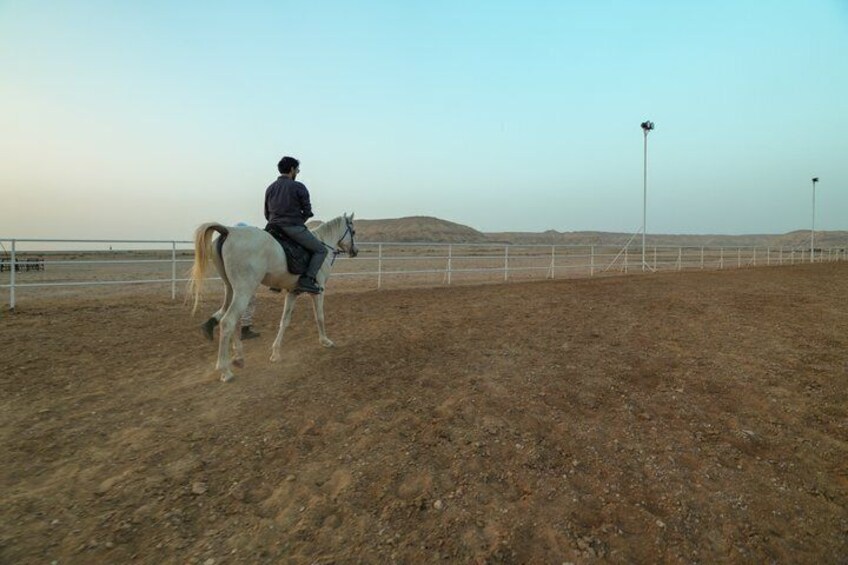 A person riding a horse in an enclosed arena with a dirt floor and white fencing. 5