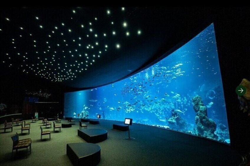 An aquarium with a large digital screen displaying underwater scenes, seating areas, and a starry ceiling. 5