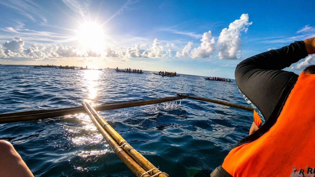 Picture 1 for Activity Cebu: Oslob Whale Shark Swimming Experience with Transfer 3
