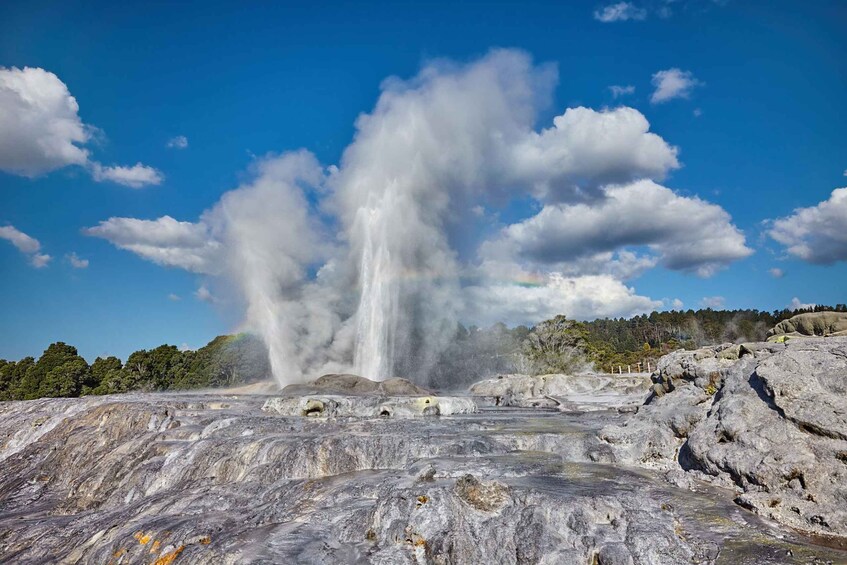 Picture 2 for Activity Aucland: Rotorua Shore Excursion with Te Puia 2