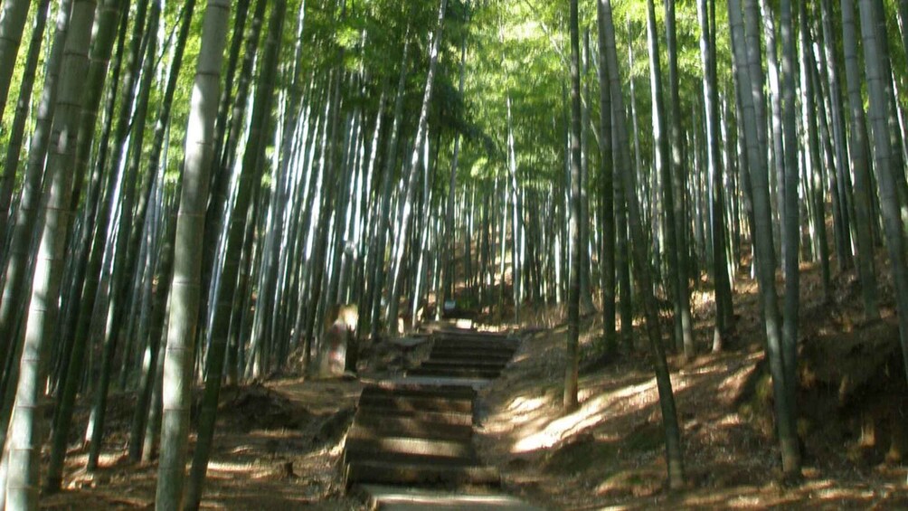 Nanjing: Anji Bamboo Trail & Waterfalls Private Day Trip 1