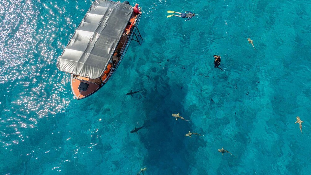 An aerial view of a boat with a covered deck, surrounded by clear blue water and several snorkelers. 3