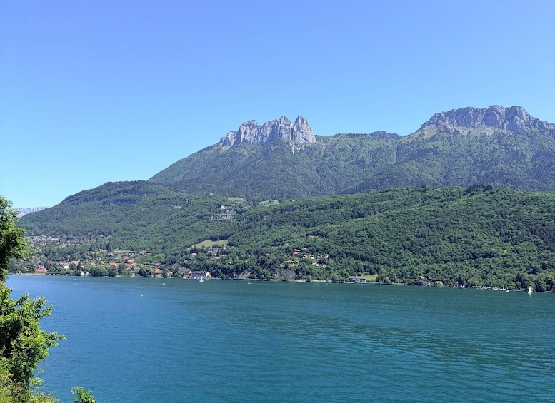 Picture 3 for Activity Departure from Annecy: Food tastings in the heart of the Bauges 2
