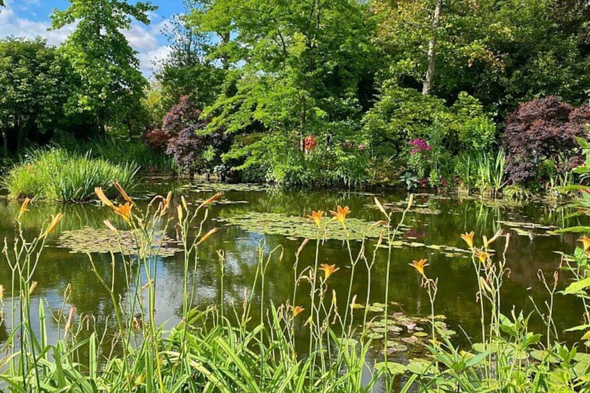 A pond surrounded by lush greenery and trees. 1
