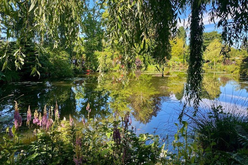 A pond surrounded by lush greenery and flowering plants. 4