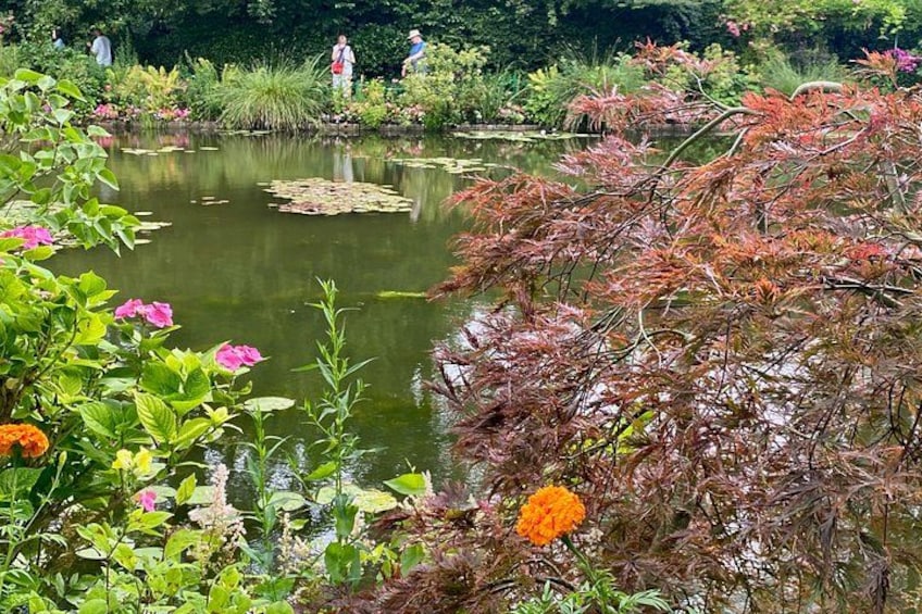 Een vijver omringd door weelderige begroeiing en bloeiende planten. 3