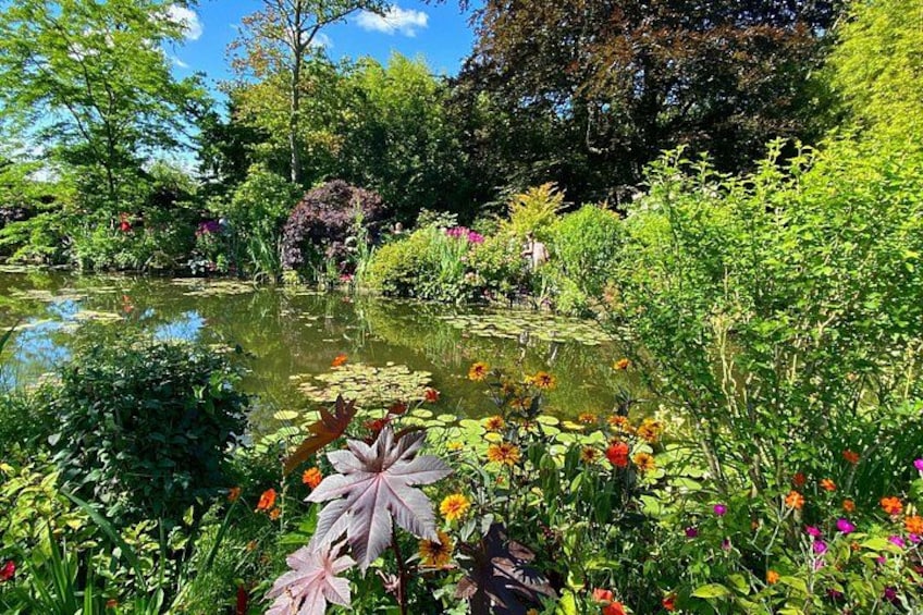 A garden with a pond, various flowers, and lush greenery. 2