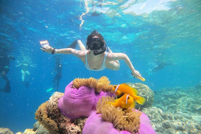 A person snorkeling underwater with a camera, surrounded by coral and fish. 1