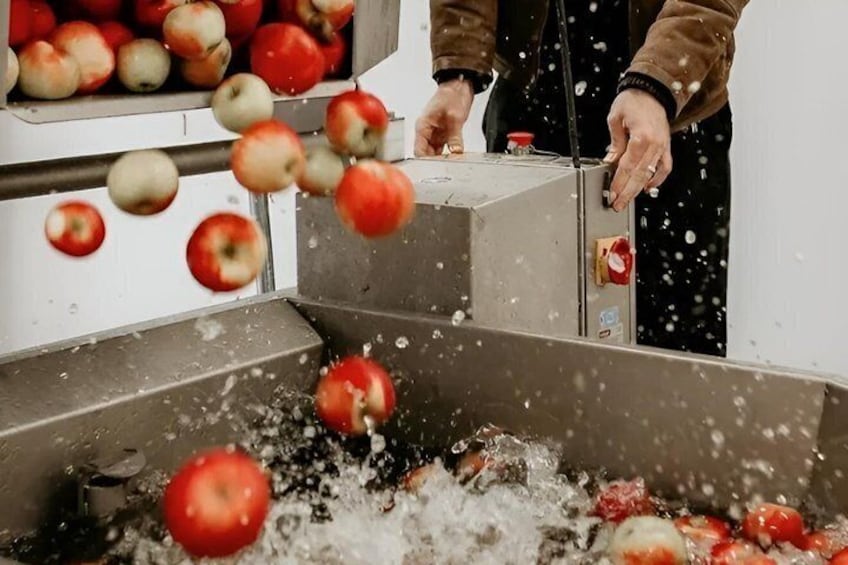 Public Tour and Tasting at Yip Cider 4
