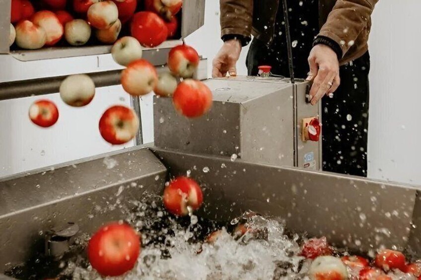 Private Group Tour and Tasting Experience at Yip Cider 4