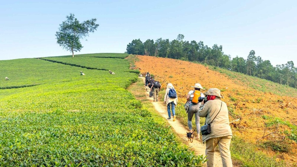 Picture 1 for Activity Suzhou: Yuyao Baishuichong Waterfall & Tea Trail Day Trip 2