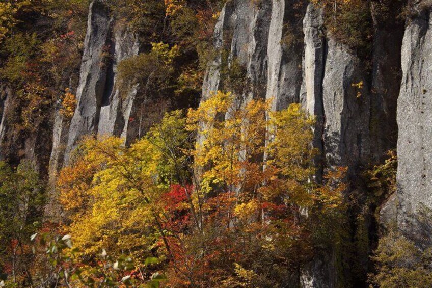Autumn Asahidake and Hagoromo Falls Ropeway Tour from Sapporo 5