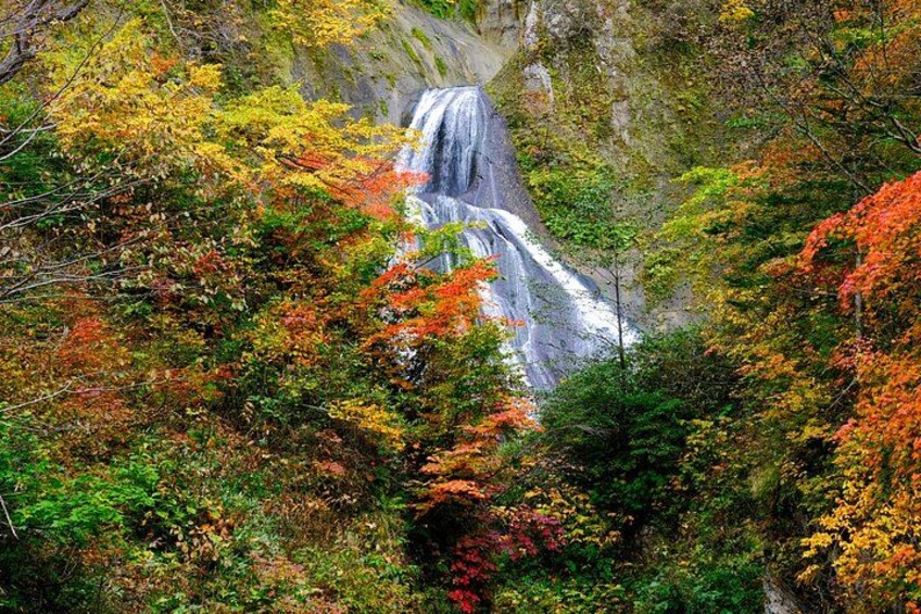 A waterfall surrounded by autumn foliage. 2