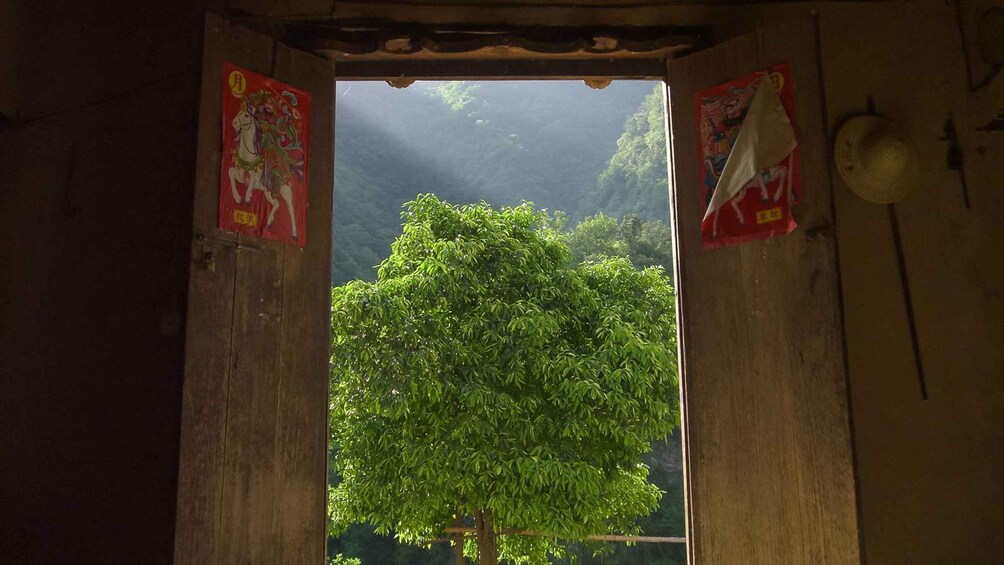 Picture 3 for Activity Xi'an: Qinling Mountain Peak & Temples Private Day Trip 3
