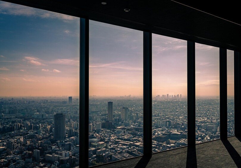 Picture 2 for Activity Tokyo by Night: Shibuya Sky Views & Shinjuku Neon 4
