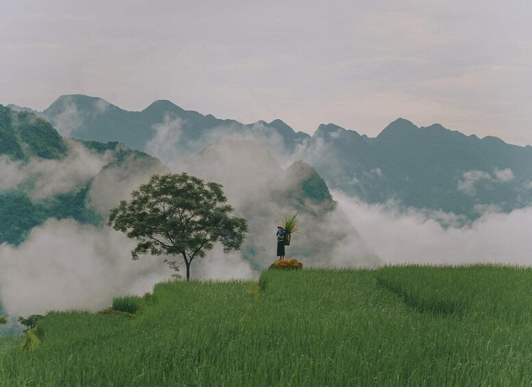 Picture 14 for Activity Pu Luong Half-Day Guide Trekking: Hidden Villages & Bat Cave 3