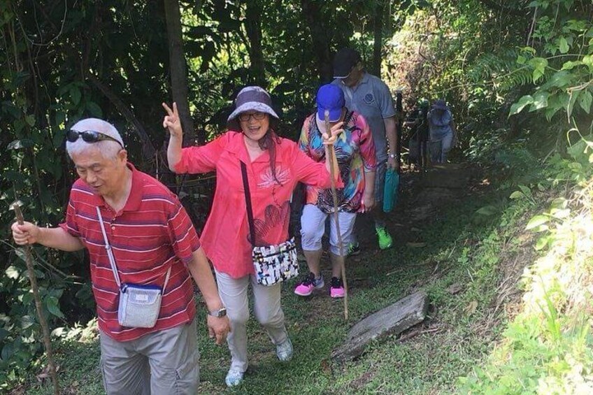 A group of people hiking in a forested area with a dirt path. 3