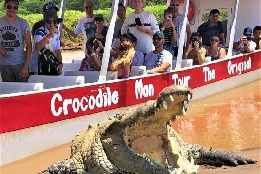 A crocodile on a boat with a red banner reading 'Crocodile Man Tour The Original.' 1