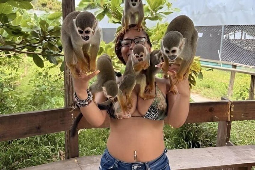 A person holding several lemurs. 1