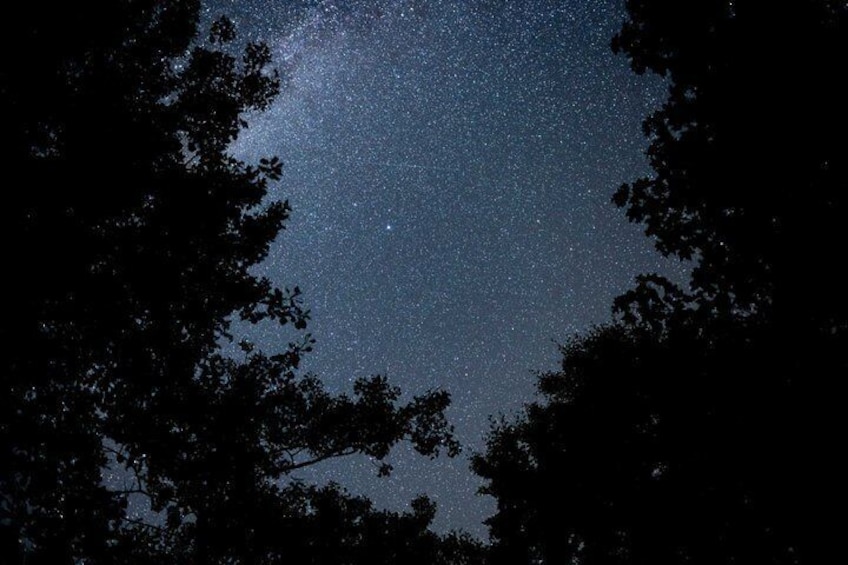Explore the Universe with an Expert Guide Night Sky Tour 5