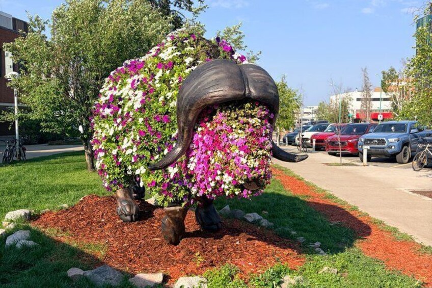 Women Only Yellowknife Food and Culture Day Tour 4