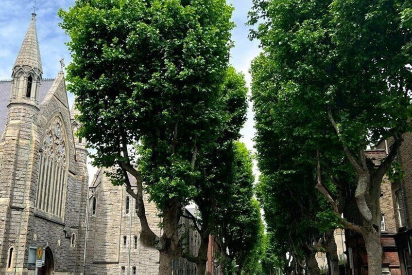 A historic church with a tall spire and large trees lining the street. 4