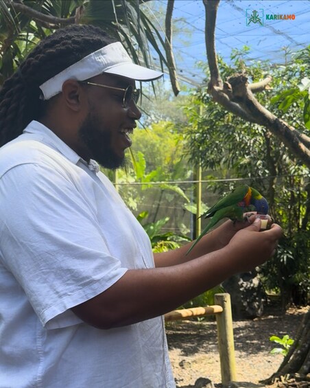 Private Guadeloupe Tour in a Premium SUV | English, German, Spanish & French 1