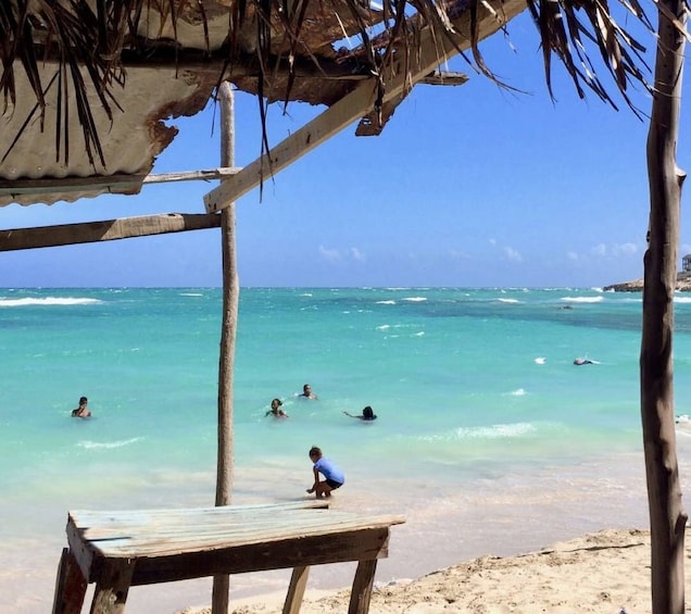 From Negril: One Way Shared Transfer to Kingston 1
