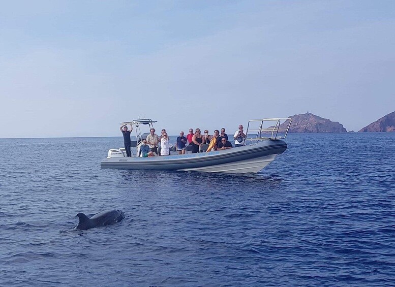 Un bateau transportant des passagers sur une mer calme, un dauphin nageant à proximité et, au loin, des îles rocheuses. 1