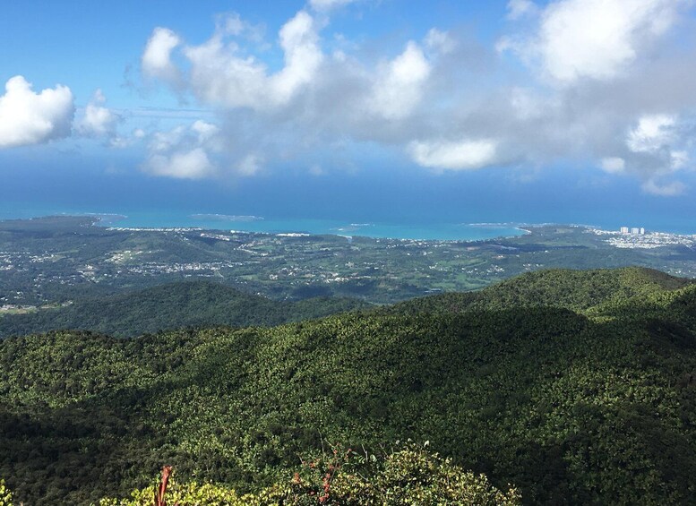 El Yunque Rainforest: EZ-Going Bus Tour (Accessible) 1