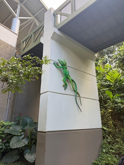 Picture 10 for Activity El Yunque Rainforest: EZ-Going Bus Tour (Accessible) 5