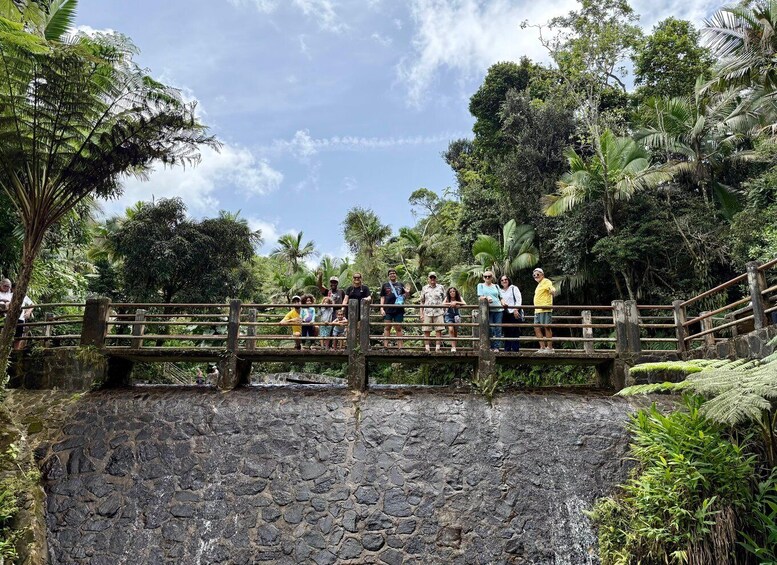 Picture 3 for Activity El Yunque Rainforest: EZ-Going Bus Tour (Accessible) 2