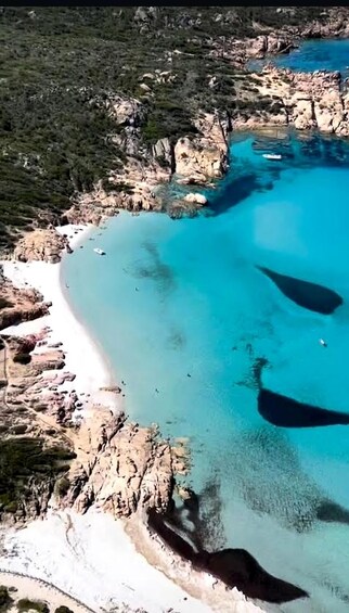 Picture 3 for Activity Ajaccio: Half–Day Tour to the Sanguinaires Islands 3