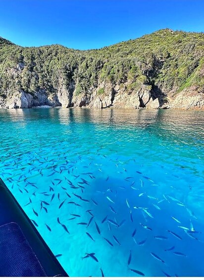 Ajaccio: Half–Day Tour to the Sanguinaires Islands 1