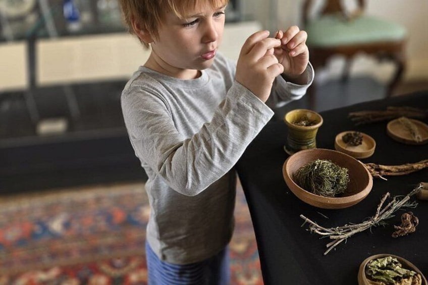 A child sitting at a table with various herbs and plants. 2