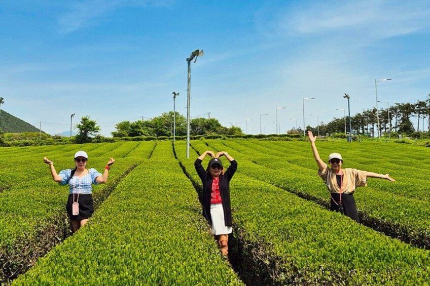 Jeju UNESCO West South and East Highlights 2 Days Combo Tour 3