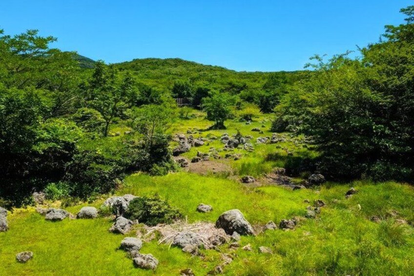 Jeju UNESCO West South and East Highlights 2 Days Combo Tour 4