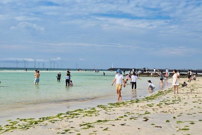 A beach with people walking and playing in the water, a sandy shore, and wind turbines in the distance. 2