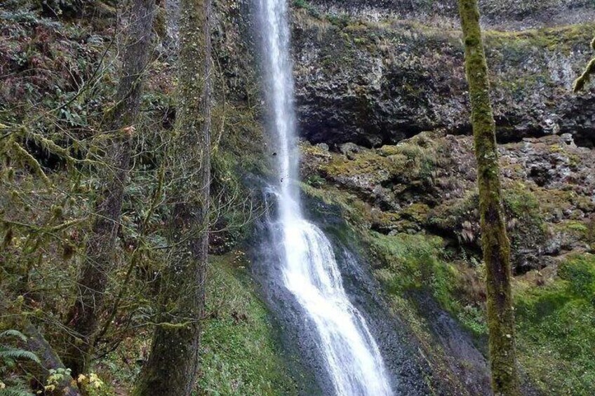 Silver Falls Trail of Ten Falls Self Guided Audio Tour 2