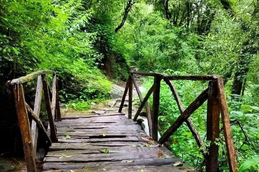 A wooden bridge in a forested area. 2