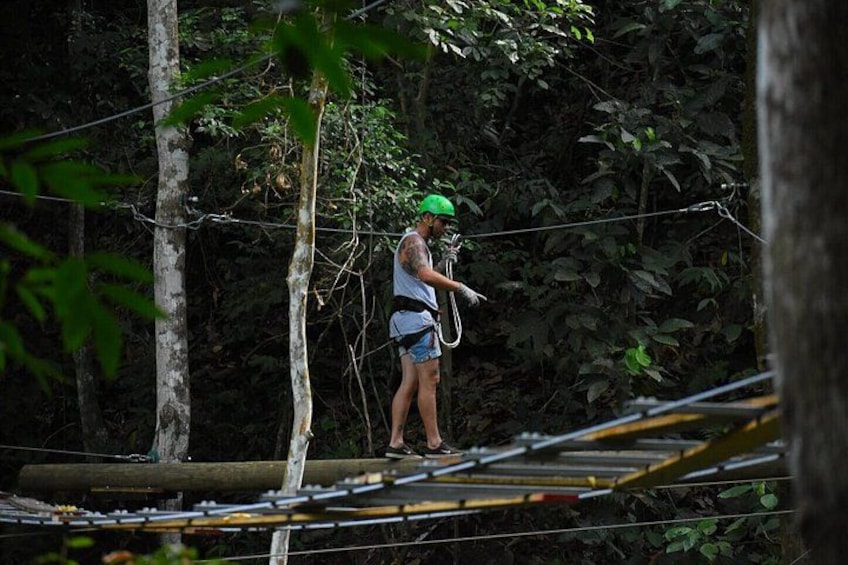 A person on a zip line in a forested area. 3